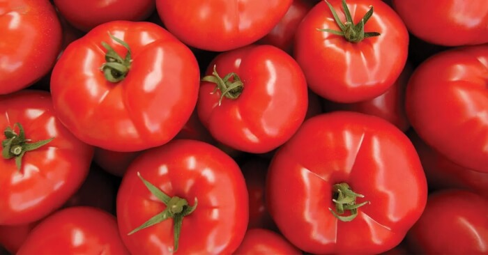 tomato tips