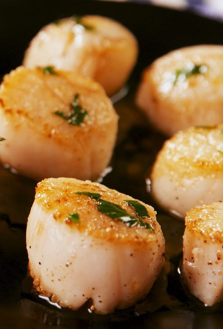 scallop recipes