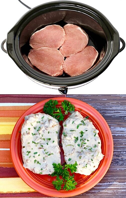 #14 Crock Pot French Onion Pork Chops rv