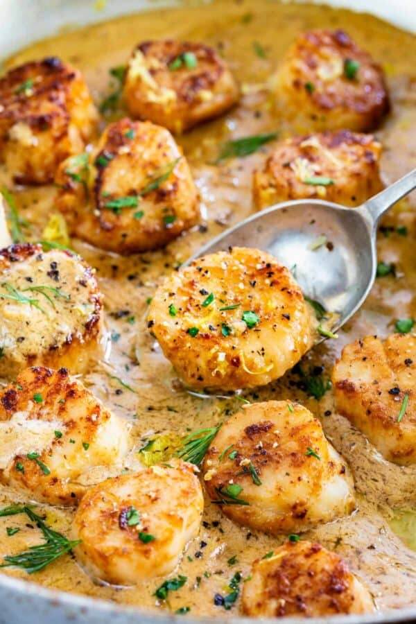 25 Best Ways To Cook Scallops - Easy and Healthy Recipes
