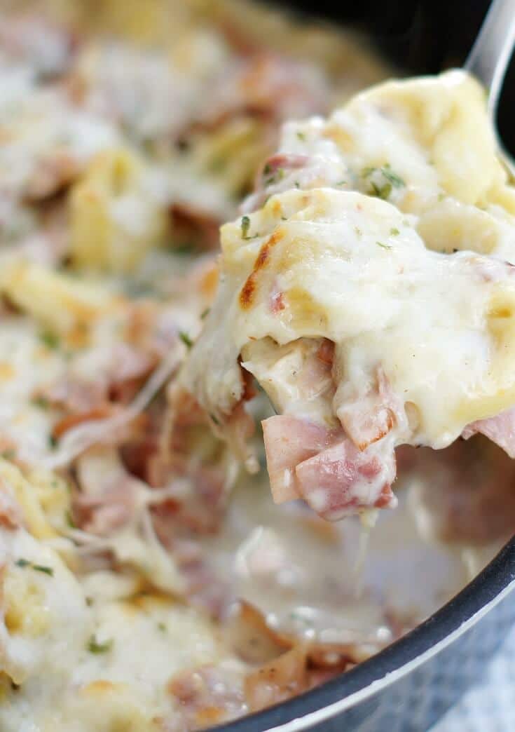 Ham And Cheese: 20 Best Dishes - Easy and Healthy Recipes