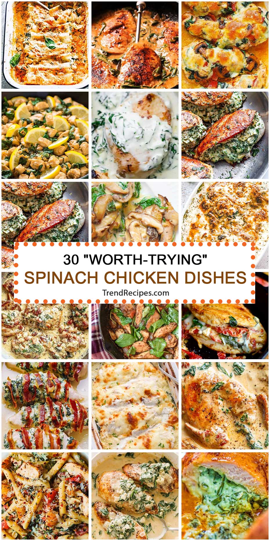 30 “Worth-Trying” Spinach Chicken Dishes