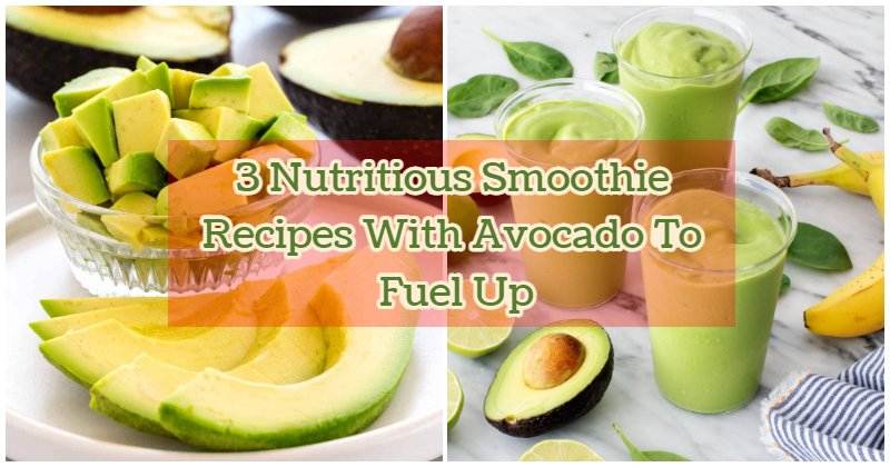 recipes with avocado