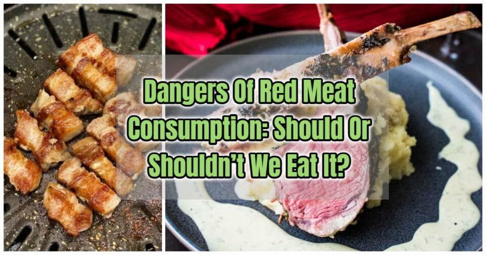 Dangers Of Red Meat Consumption Should Or Shouldn’t We Eat It?