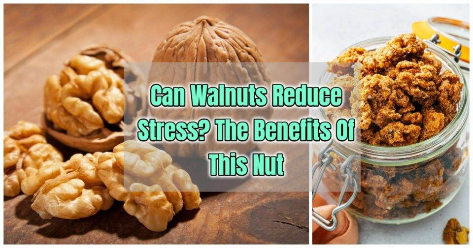 Can Walnuts Reduce Stress? The Benefits Of This Nut