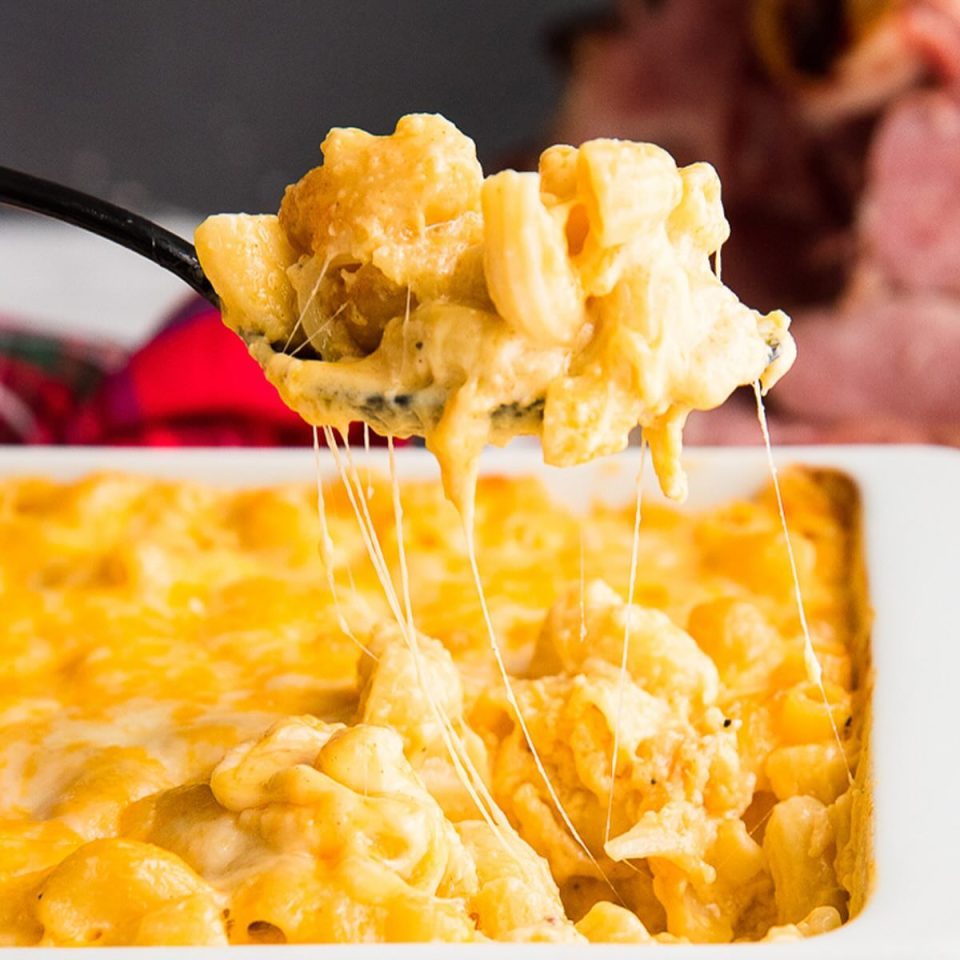 5 Cheese Crack And Cheese - Easy and Healthy Recipes